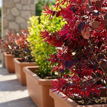 Holiday home La Dimora Del Cavaliere - Stupenda Dimora A 5 Min Dal Di Martignano Anguillara Sabazia